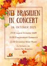 Nei Brasilien in Concert